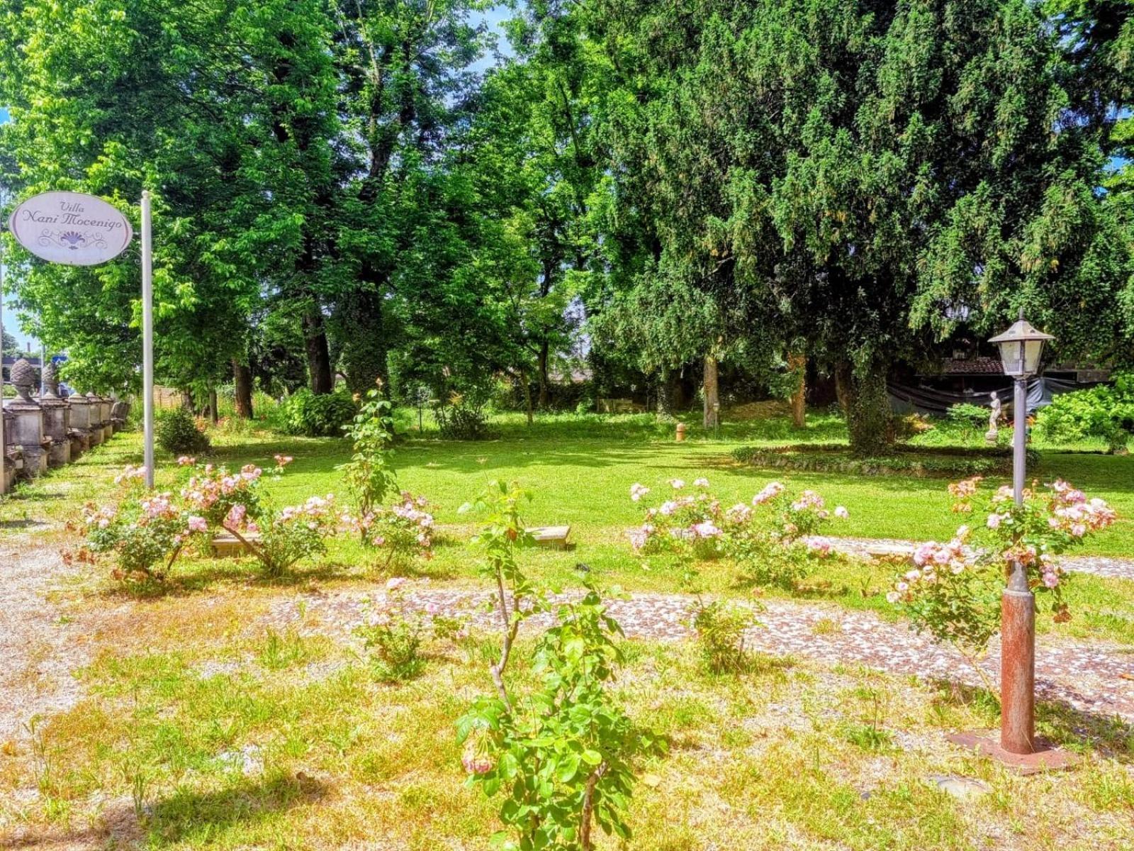 Villa Nani Mocenigo, A Pochi Minuti Da Venezia Dolo Eksteriør billede